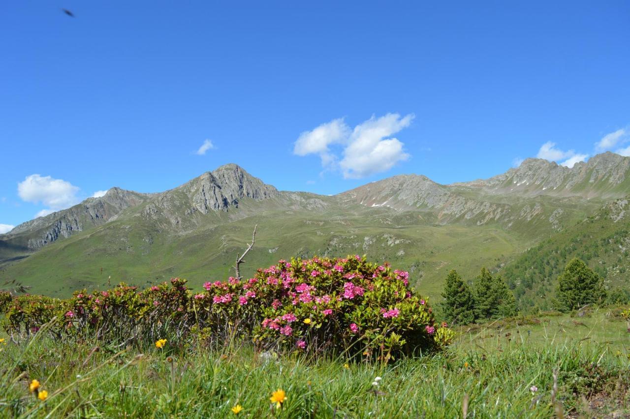 Feldererhof Apt Almenblick Santa Maddalena in Casies Exteriör bild